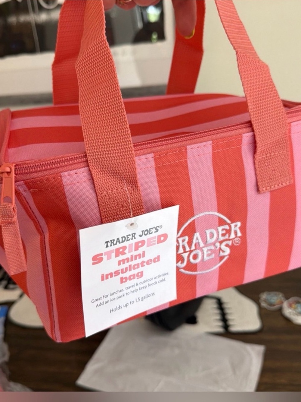 Trader Joe's Pink and Coral Striped Mini Insulated Bag
